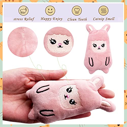 10 Pcs Christmas Catnip Plush Cat Toys A495006